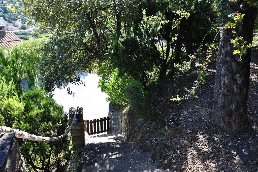 Villa Abeille : Douces Vacances D'Ete Avec Vue Mer Cavalaire-sur-Mer